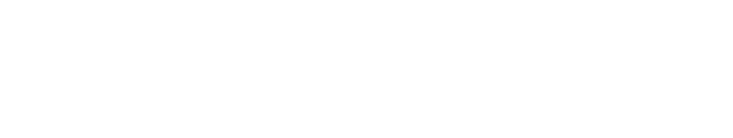 Octopus Media